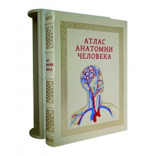 Атлас анатомии человека. Подарочная книга в эксклюзивном кожаном переплете в футляре